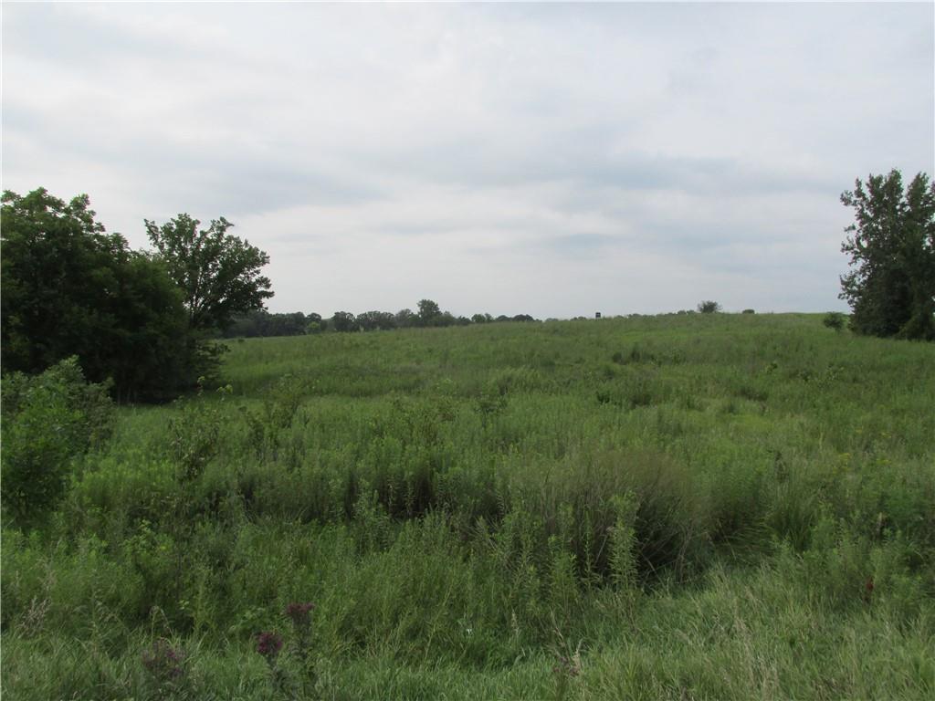 Listing Photo MLS #HMS2634096