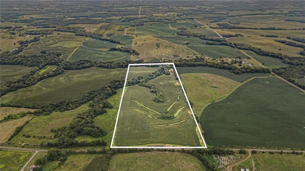 Listing Photo MLS #HMS2636841