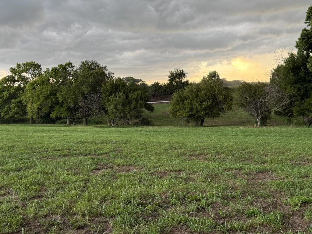 Listing Photo MLS #HMS2637727