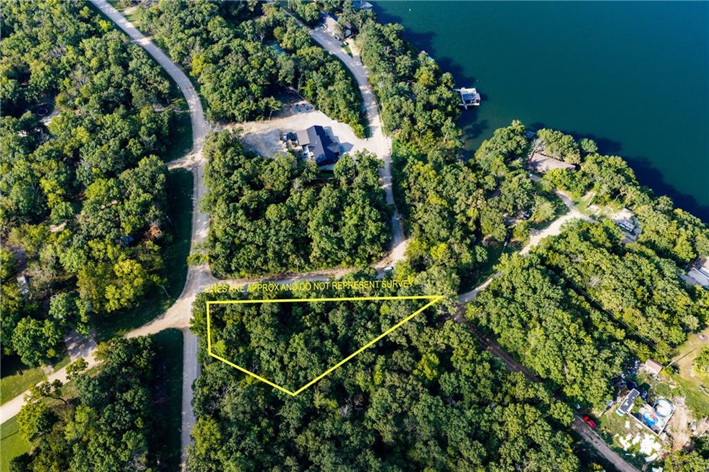 Listing Photo MLS #HMS2638834