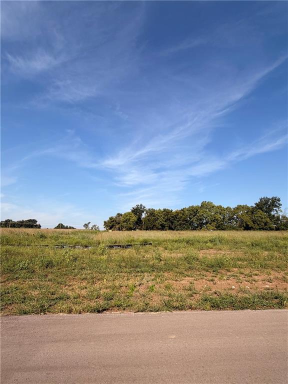 Listing Photo MLS #HMS2638835