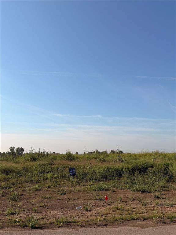 Listing Photo MLS #HMS2638866