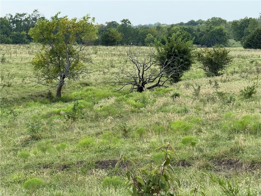 Listing Photo MLS #HMS2638905