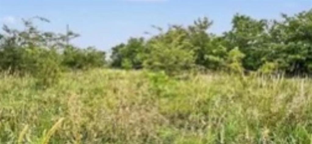 Listing Photo MLS #HMS2638971