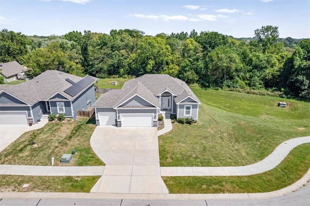 Listing Photo MLS #HMS2639421