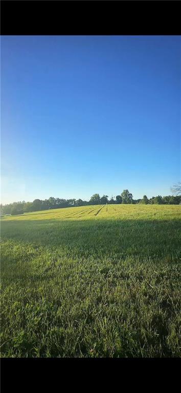 Listing Photo MLS #HMS2639760
