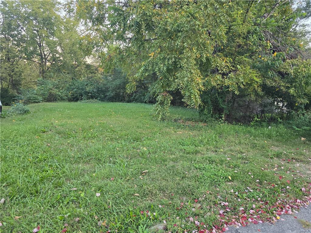 Listing Photo MLS #HMS2646507