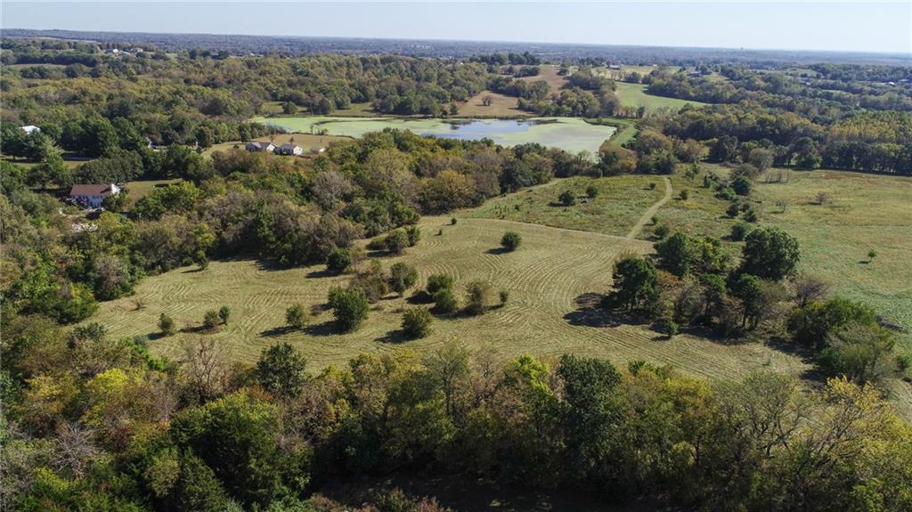 Listing Photo MLS #HMS2646816