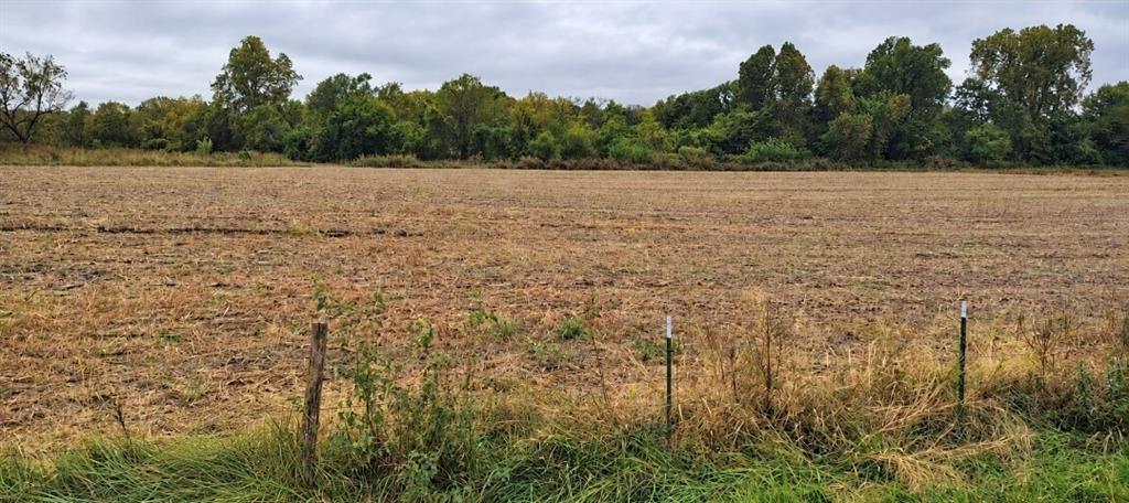 Listing Photo MLS #HMS2647173