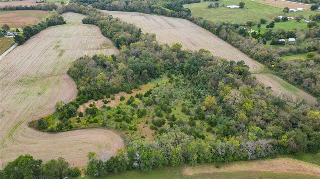 Listing Photo MLS #HMS2648059