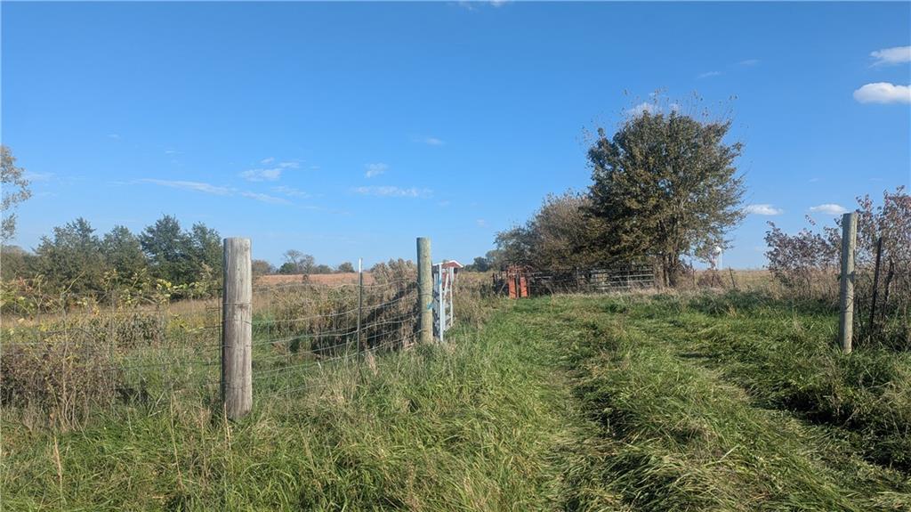 Listing Photo MLS #HMS2649324